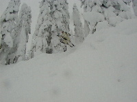 Dave ROLLIN out of the trees...he landed next to me and soaked the camera with fresh, light powder...